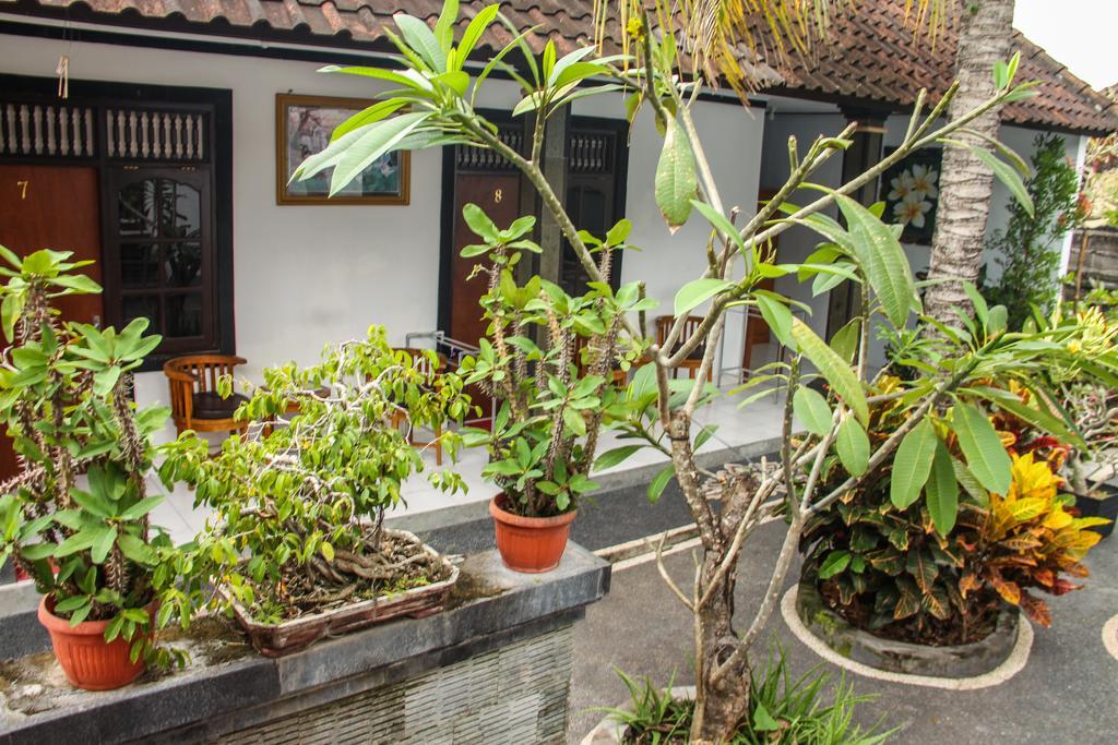 Nyoman Guesthouse Canggu Екстериор снимка
